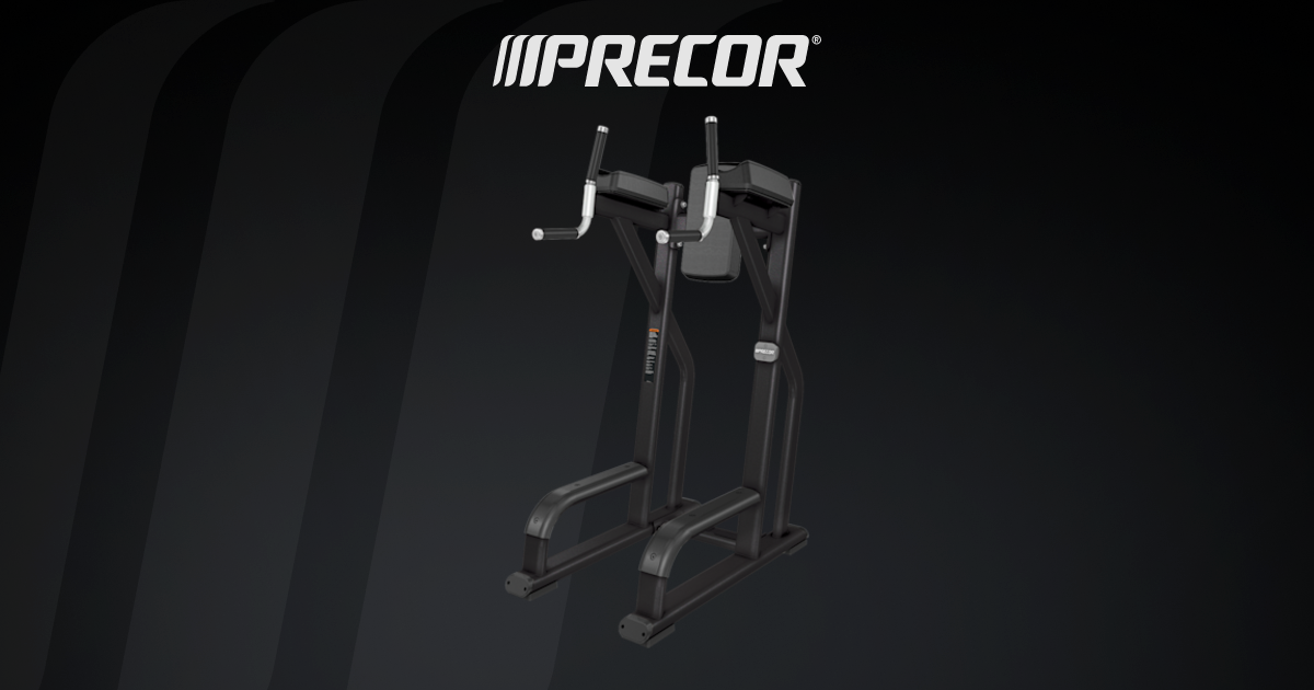 Vertical Knee-Up - Discovery™ Benches & Racks | Products | Precor